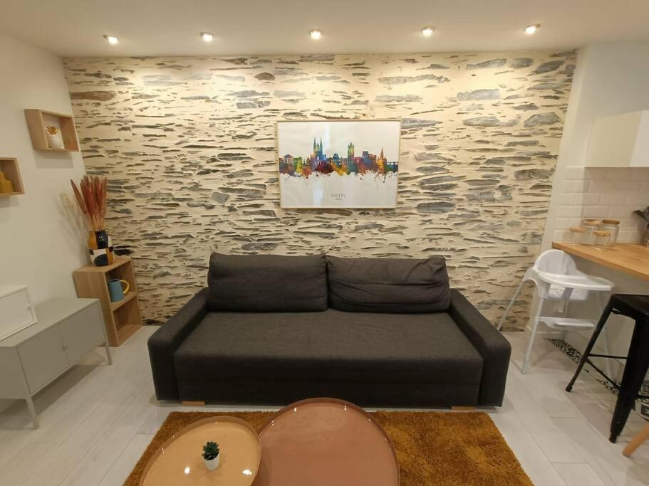 Apartmán Douceurs Angevine Angers Exteriér fotografie